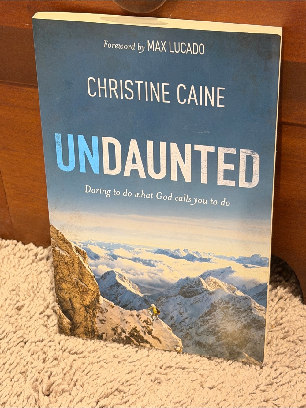 Undaunted Blue Inspirational Book Cover Decor